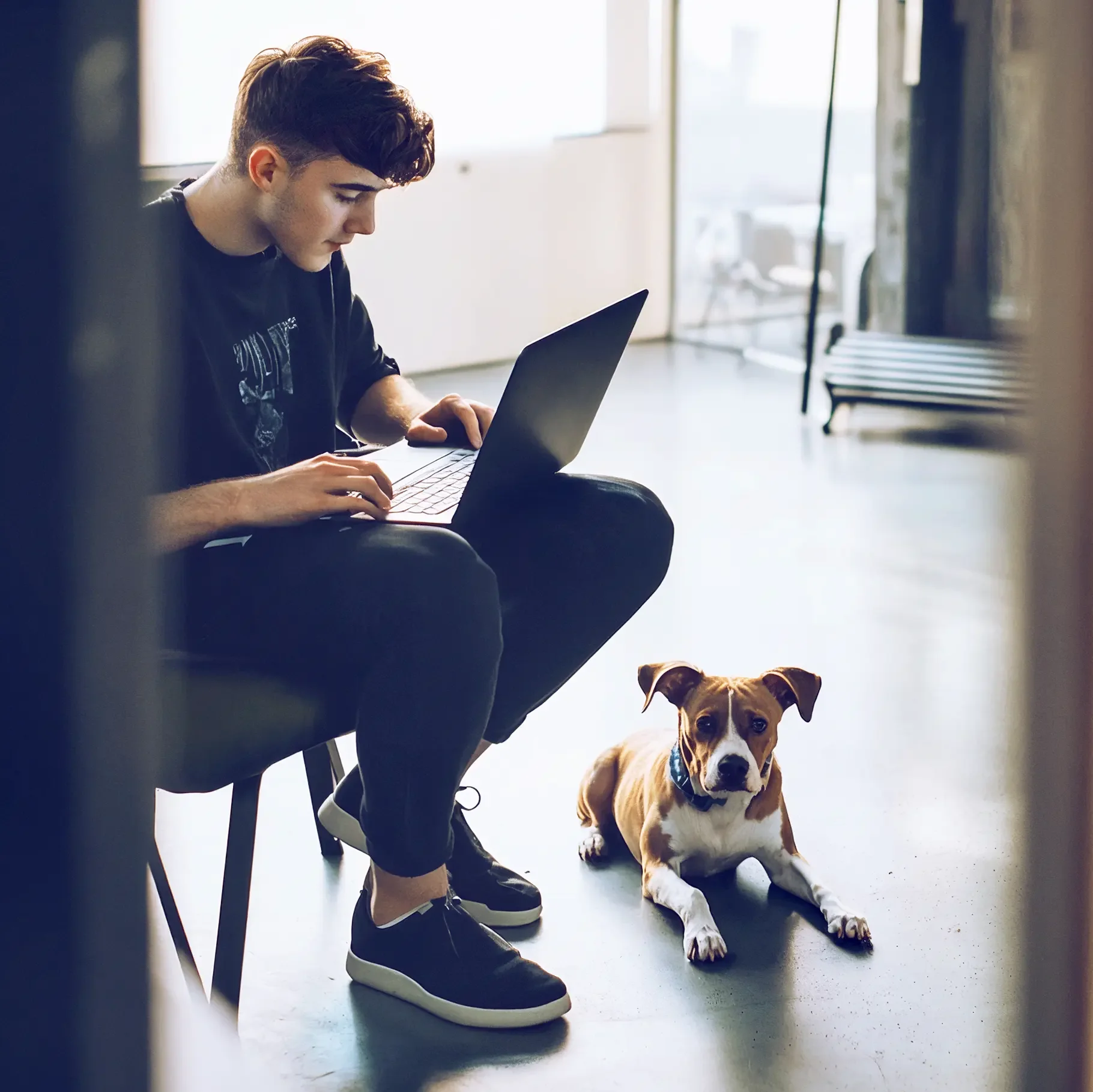 Internetpauschale Mann auf Sessel mit Laptop neben Hund
