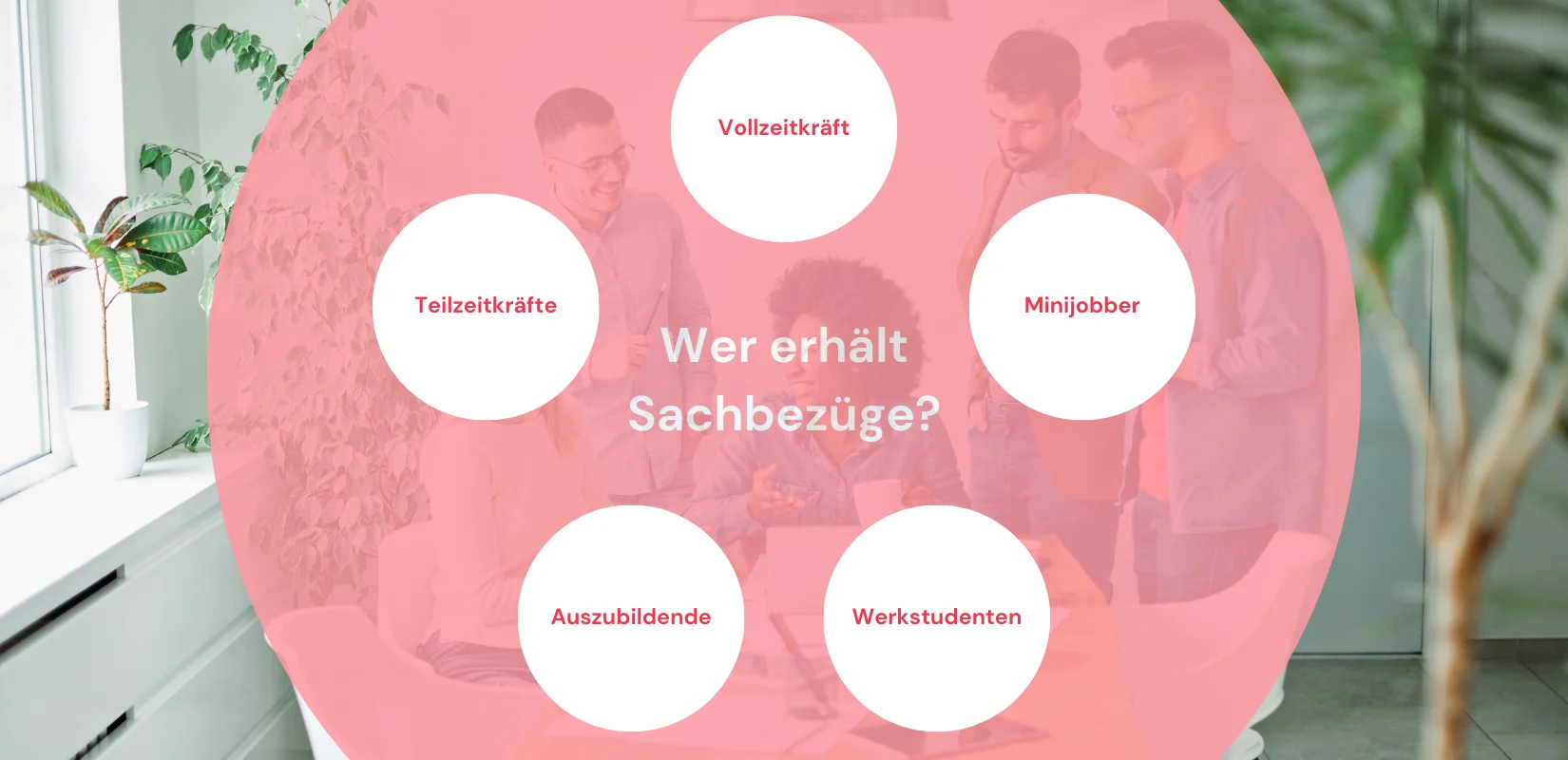 Wer erhält Sachbezüge? Infografik mit der Frage: Wer erhält Sachbezüge? Antworten: Vollzeitkräfte, Minijobber, Werkstudenten, Auszubildende, Teilzeitkräfte